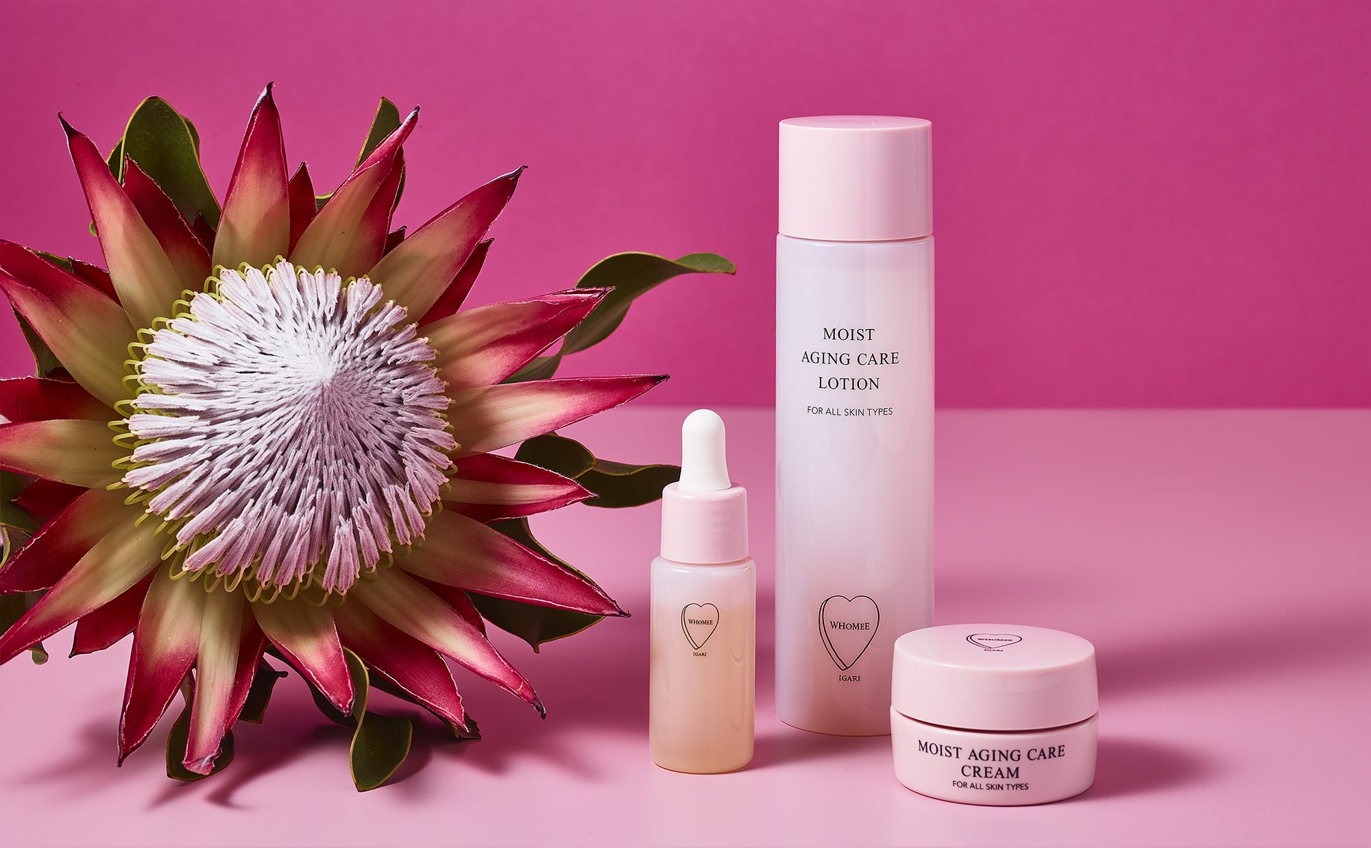 ichi_design_works_2020_whomee_f1