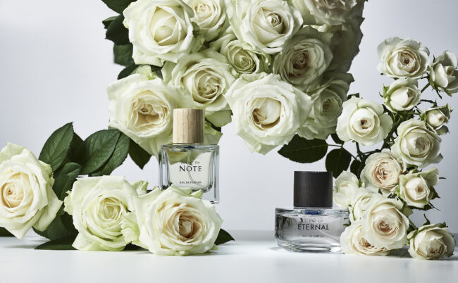 SCENT OF NOTE / ETERNAL | Perfume | Branding