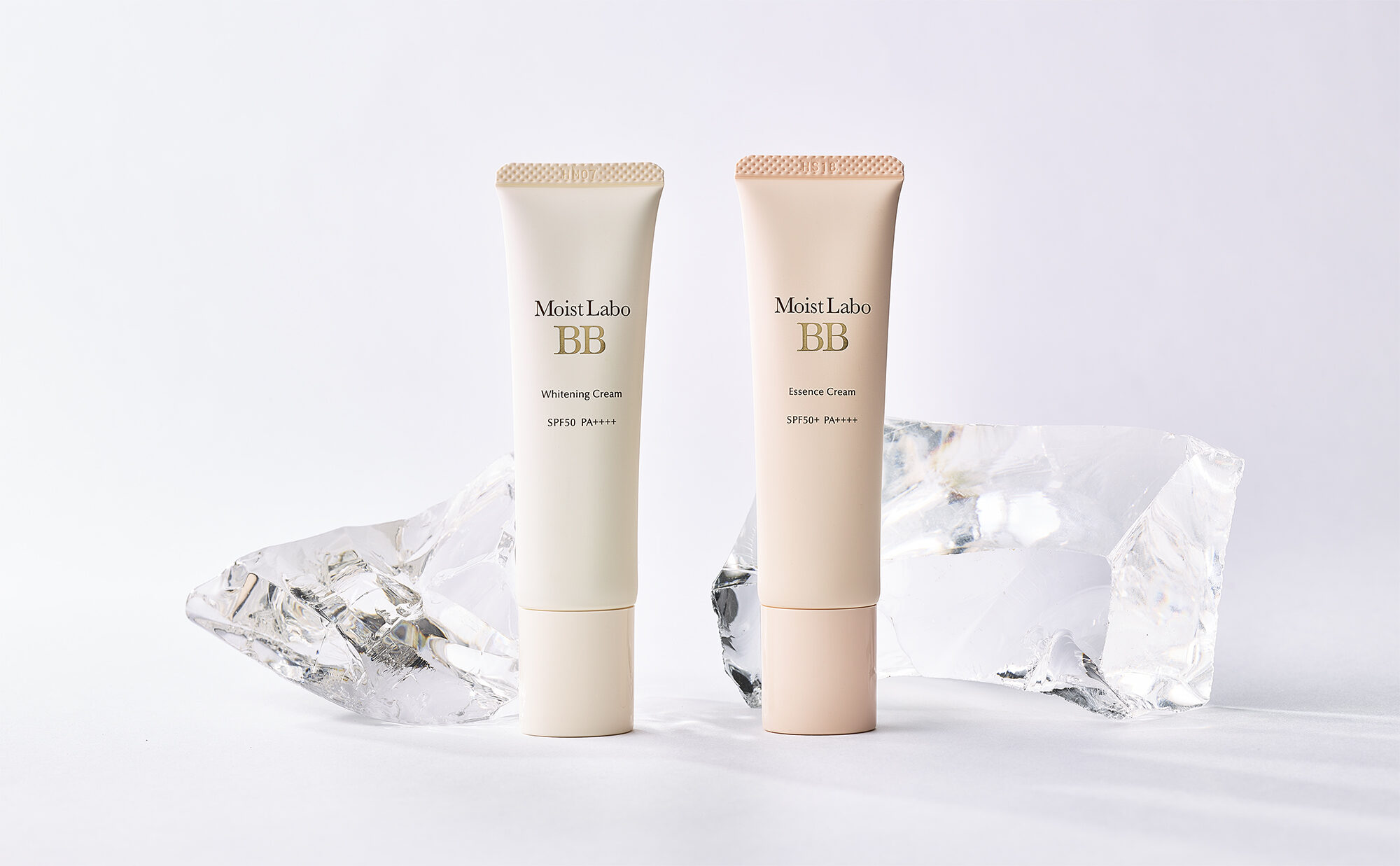 2023_moistlabo_BB_01