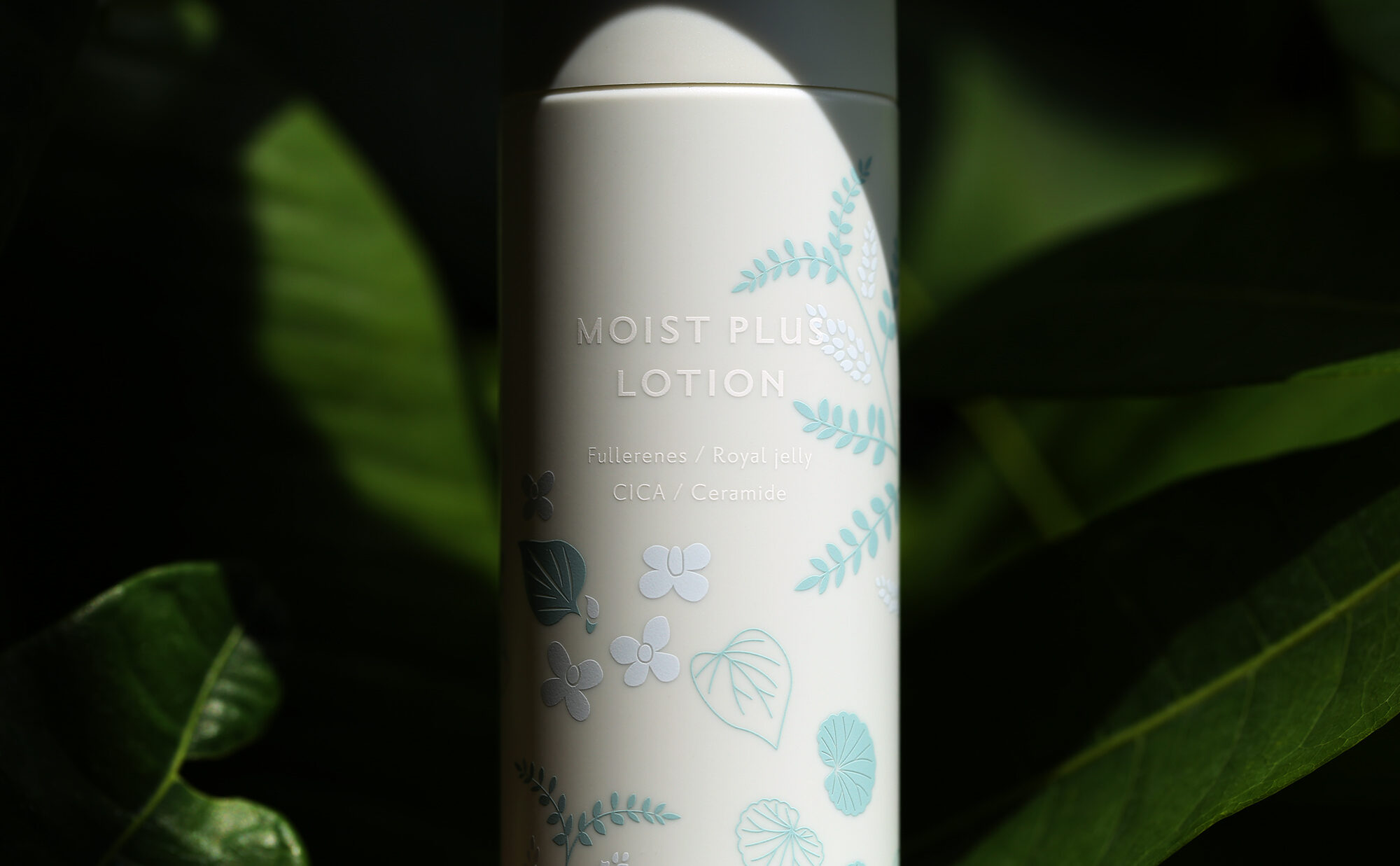 MOIST_PLUS_01_2